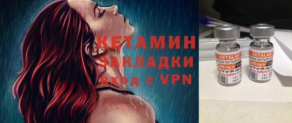 гидра Богданович