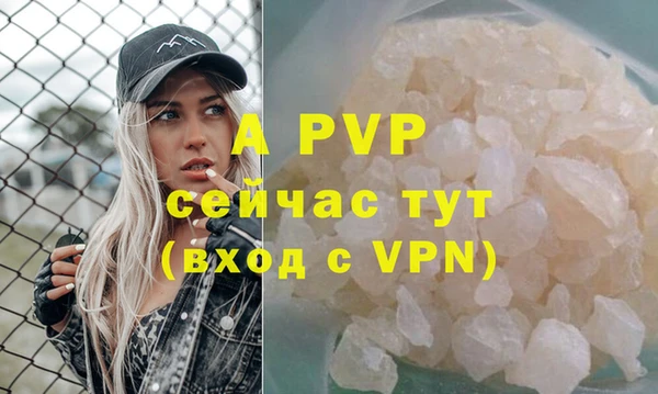 гидра Богданович