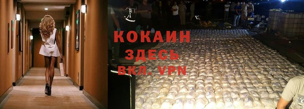 прущие крисы Беломорск