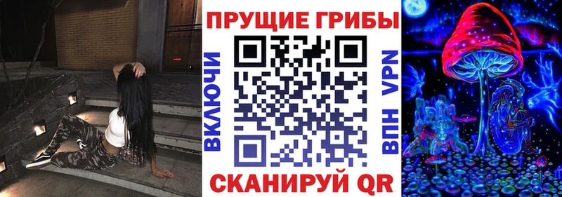 Галлюциногенные грибы ЛСД  продажа наркотиков  Велиж 